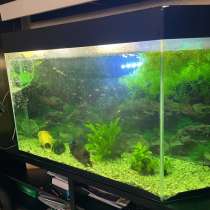 Продаю аквариум, в Астрахани