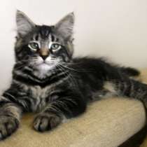 Сибирский мальчик Ксаби, в Нижнем Новгороде