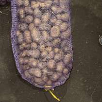 Семенной картофель, в Екатеринбурге