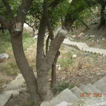 Продается земельный участок под ИЖС в Алупке, в Ялте