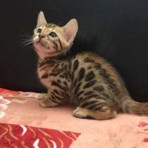 Будущий чемпион от очень удачной пары, в Москве