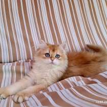 Females ny12, в г.Guangxi