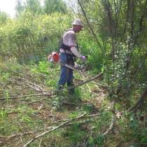 Спил мелких деревьев, покос кустарников и травы, в г.Мозырь