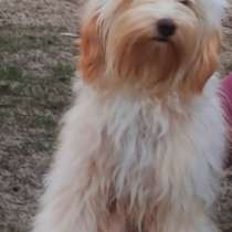 Мальтипу, в г.Гамбург