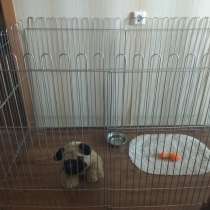 Вольеры для собак в квартиру, в Красноярске