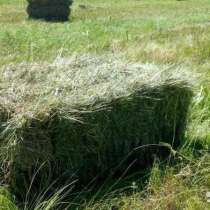 Луговое сено в тюках, в Дмитрове