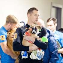 Знаменитый щенок ищет дом, в Санкт-Петербурге