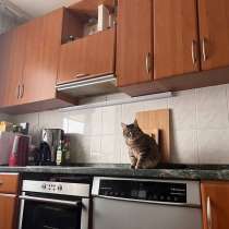 Кухонный гарнитур, в Москве