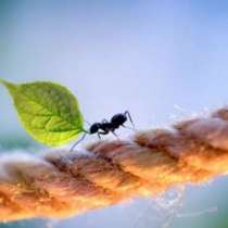 Продаётся участок 30 соток, в Уфе