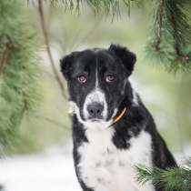 Герда в поисках семьи, в Москве