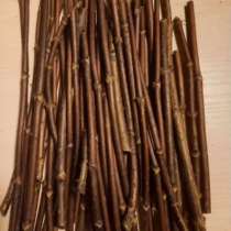 Деревянные черенки метельчатых гортензий, в Самаре