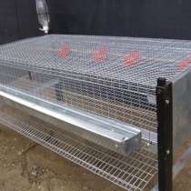 Клетки для перепелов полной комплектации, в г.Минск