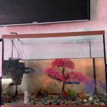 Аквариум 30л, в Ростове-на-Дону