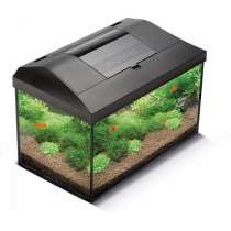 Аквариумы, террариумы, рыбки Seaprice, в Москве