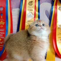 SFS ny11, в г.Берлин