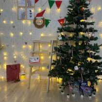 Растущий стул, в Санкт-Петербурге