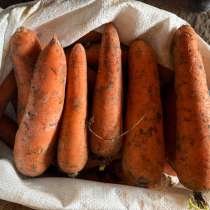 Здравствуйте всем, занимаемся торговлями овощей и фруктов!, в Новосибирске