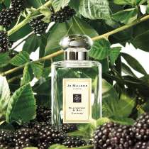 Jo Malone Blackberry & Bay Cologne 100 ml, в Москве