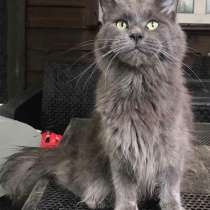 Мейн - Кун, в г.Мюнхен