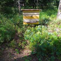 Улья утепленные для пчел, в Вырицах