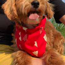 Мальтипу F - 1, в г.Берлин