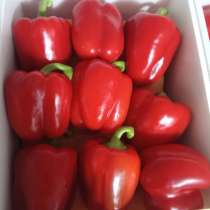 Перец красный сладкий, в Екатеринбурге