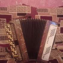 Гармошка Тула, в г.Орша