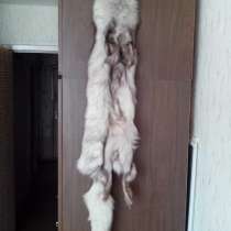 Шкурка песца(чулок), в Москве