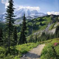 Ruslan, 54 года, хочет пообщаться, в г.Пасадина