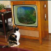 Ремонт теле-радиоаппаратуры, в г.Луганск