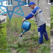 Разнорабочий-дворник, в Санкт-Петербурге