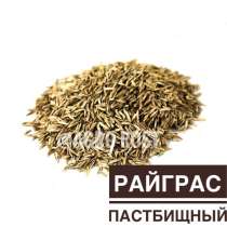 Райграс пастбищный/райграс однолетний, в Казани