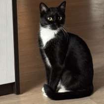 Нежная Амира, в г.Минск