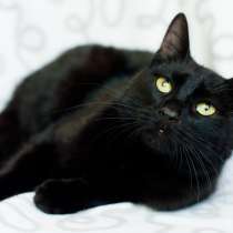 Ласковый Тихон, в г.Минск