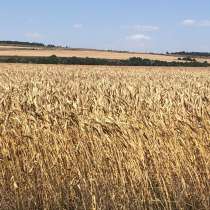 Земельный участок 44 ГА Минераловодский район, в Минеральных Водах