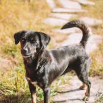 Барби, в Москве