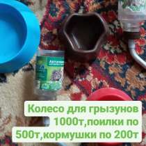 Продам для клетки с грызунами, в г.Костанай