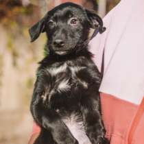 Дейзи, в г.Амстердам