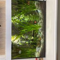 Продам аквариум на 130 л, в Альметьевске