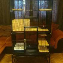 Уникальная клетка, в Москве