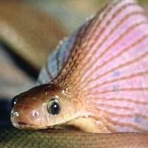 Создание сайтов IT PHP HTML, в Москве