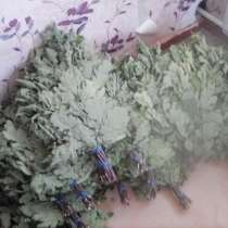 Дубовый веник, в Бузулуке