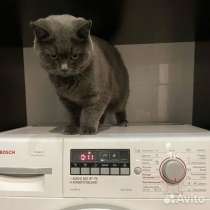 Мастер на час, Электрик. Сантехник, в Магнитогорске