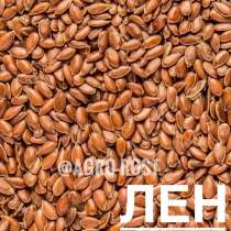 Лен, в Казани