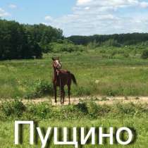 участок для дачного строительства, в Серпухове