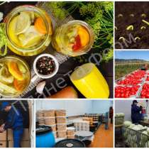 Продажа овощных солений, в Москве