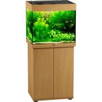 Аквариумы и террариумы, в Москве