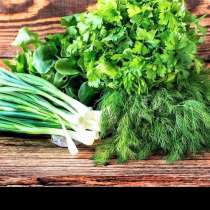 Свежая зелень из своего хозяйства, в Санкт-Петербурге