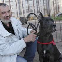 Дрессировка собак всех пород. Коррекция поведения, в г.Ереван