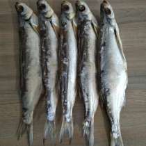 Чехонь астраханская вяленая, в Одинцово